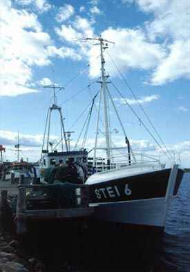 Fischerboot im Hafen. Fischerboot im Hafen